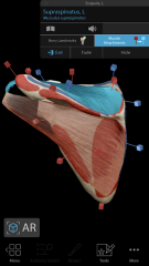 Human Anatomy Atlas 2020: Complete 3D Human Body